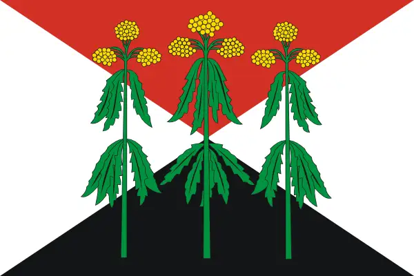 Флаг: Кимовский район